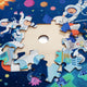 Spacecraft Puzzle