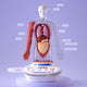 My Body Voice Pedia