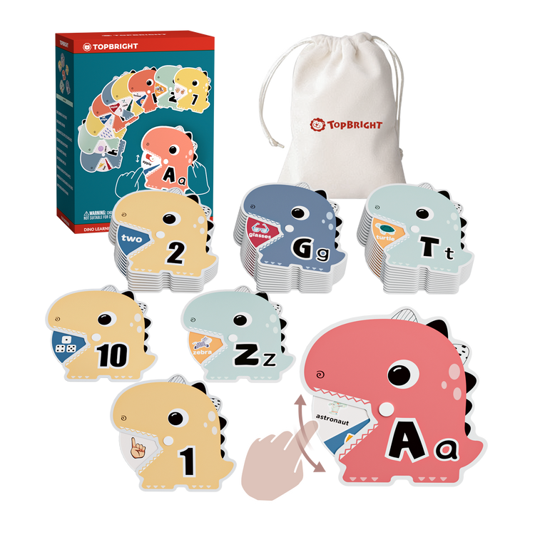 Dino Learning Flashcards