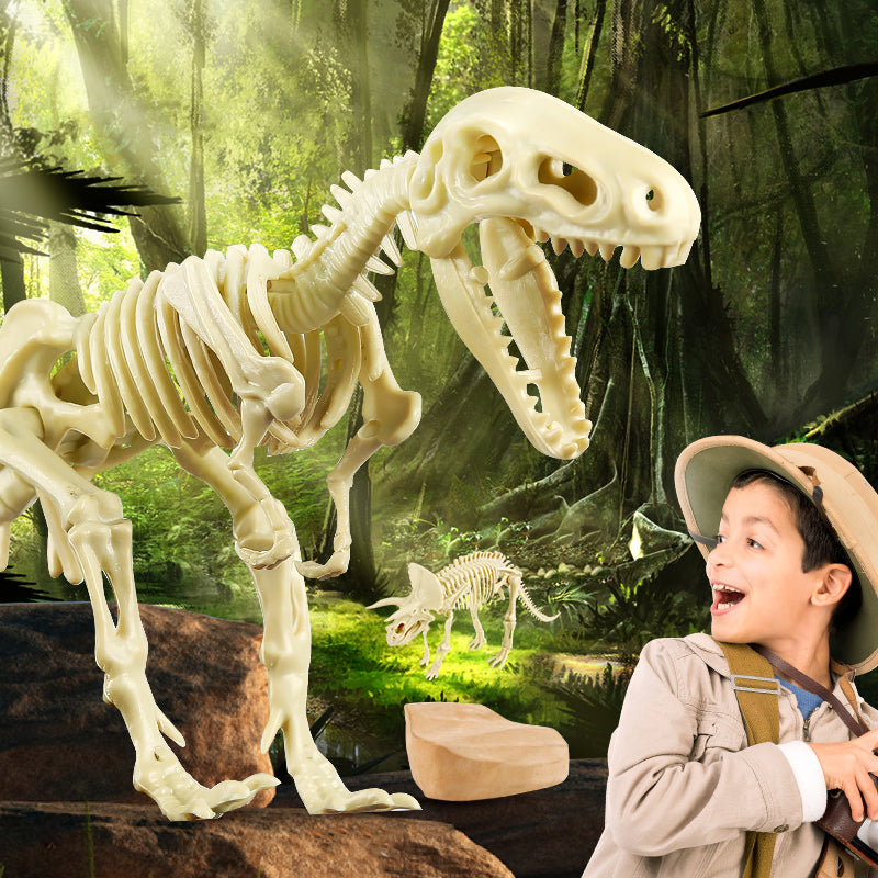  - Learn the Archeology