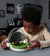 Greatly Increase Your Silkworm Harvest - STEAM Educational Device - Grow Your Own Silkworms at Home