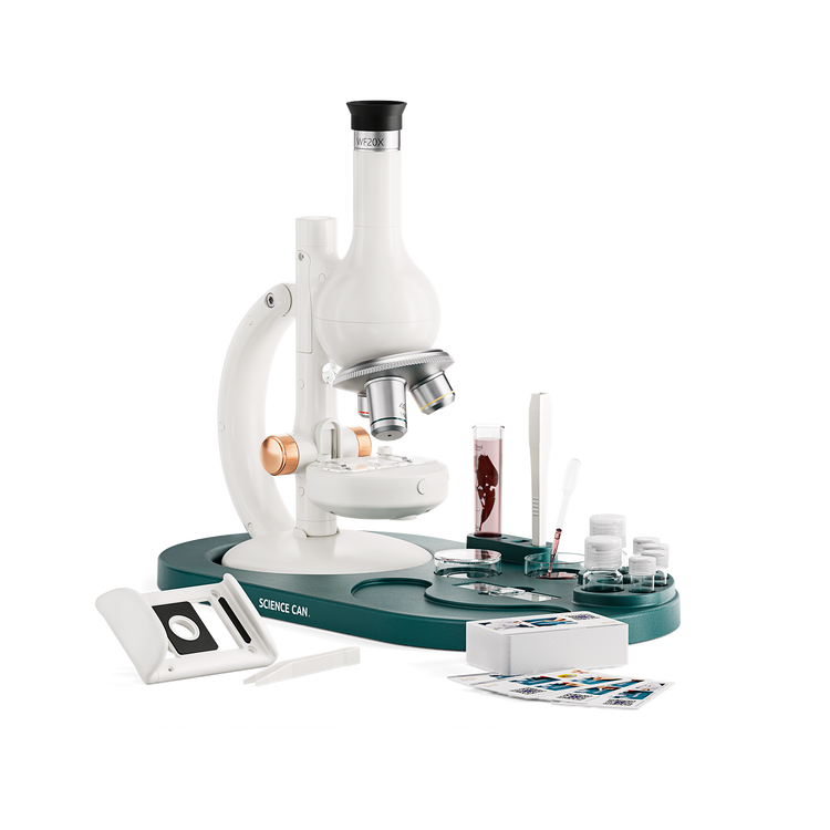 Student Microscope - 1600X