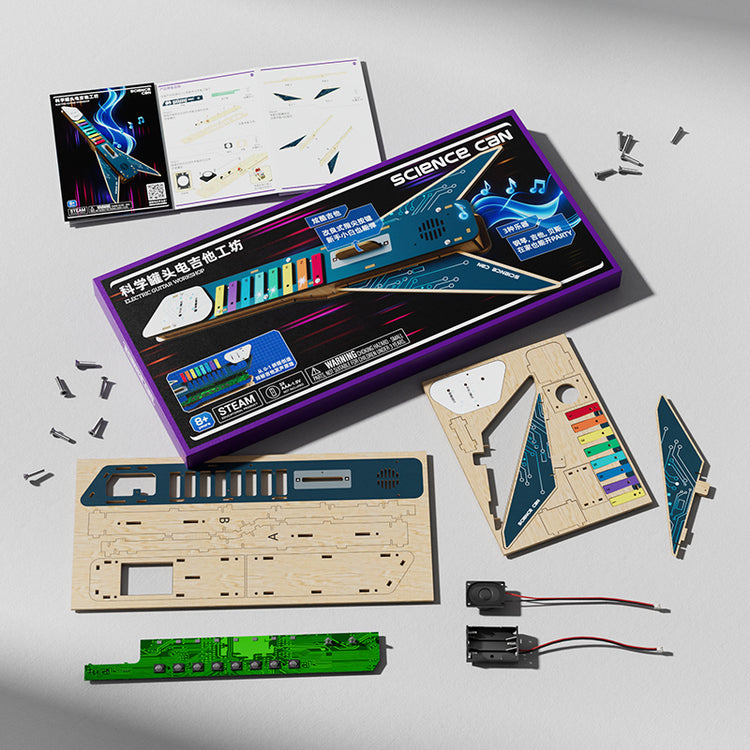 Electric Guitar - DIY