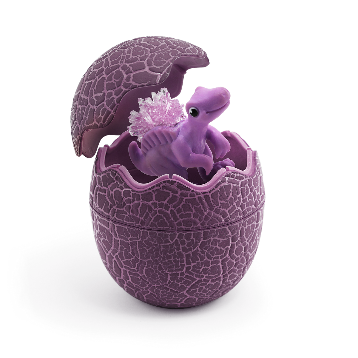 Build Your Own Crystal Garden Crystal Dinosaur Growing Kit