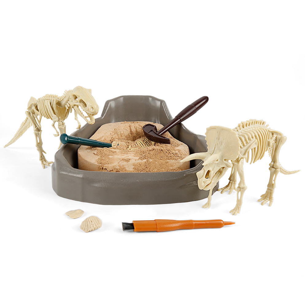 Fossil dig toy sales