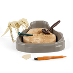 Tyranno Saurus-Rex - Dinosaur Fossil Dig Kit - Image