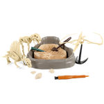 Mesozoic Super - Dinosaur Fossil Dig Kit - Image