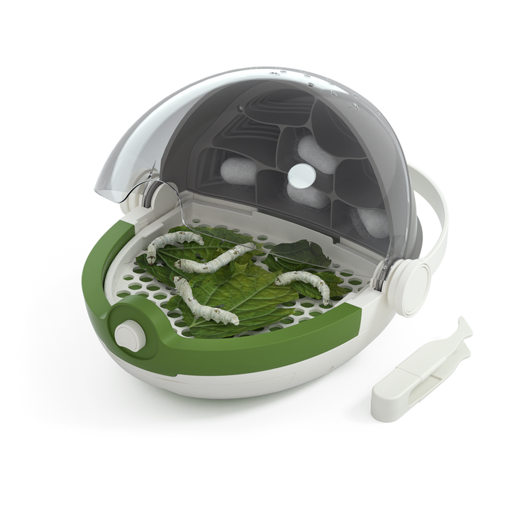 Insects Growth Station