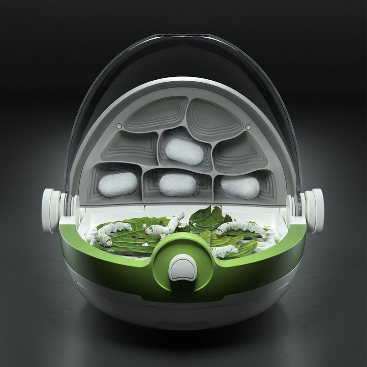 Insects Growth Station