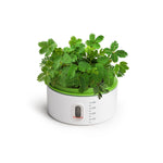 Plant Growth Station - Image