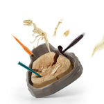Cretaceous Deluxe - Dinosaur Fossil Dig Kit - Image